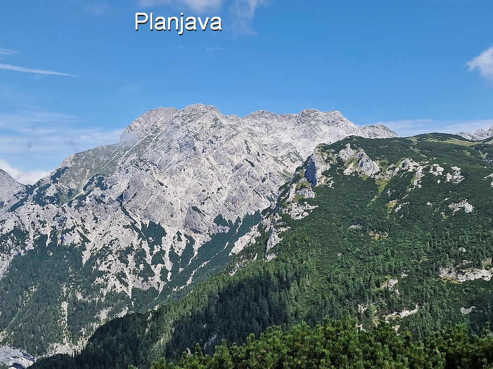 Slika je vidna v Google Chromu.