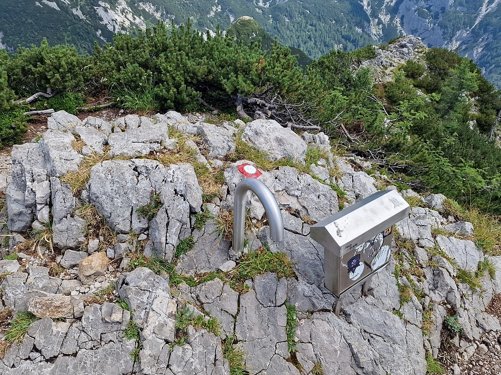 Slika je vidna v Google Chromu.