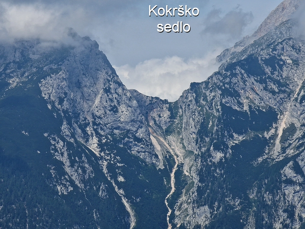 Slika je vidna v Google Chromu.