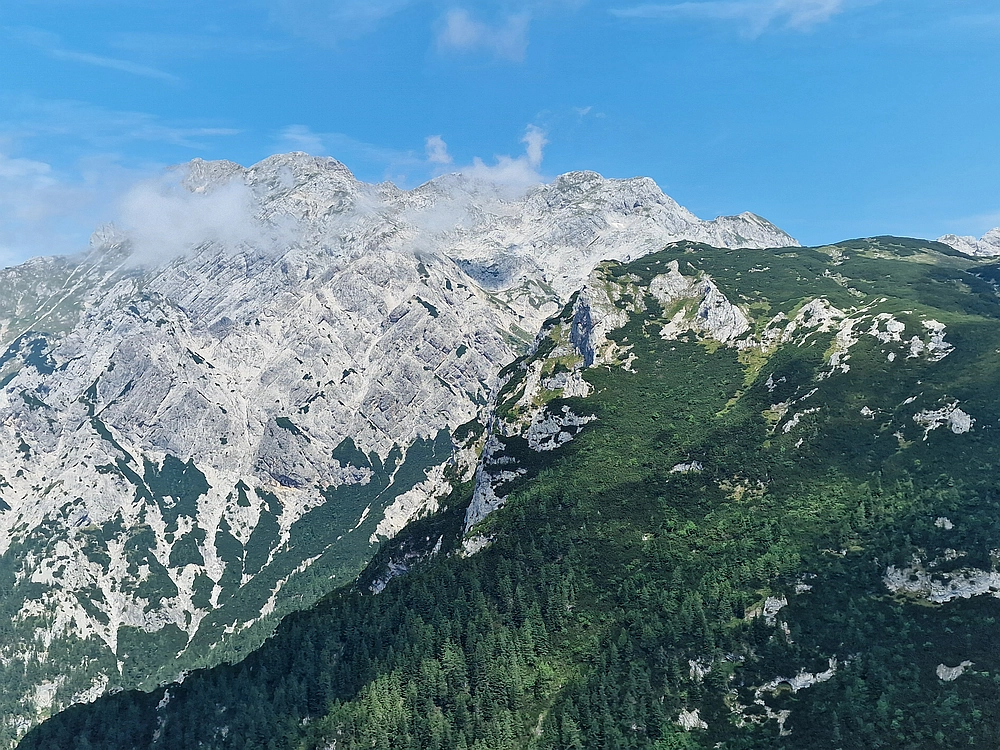 Slika je vidna v Google Chromu.