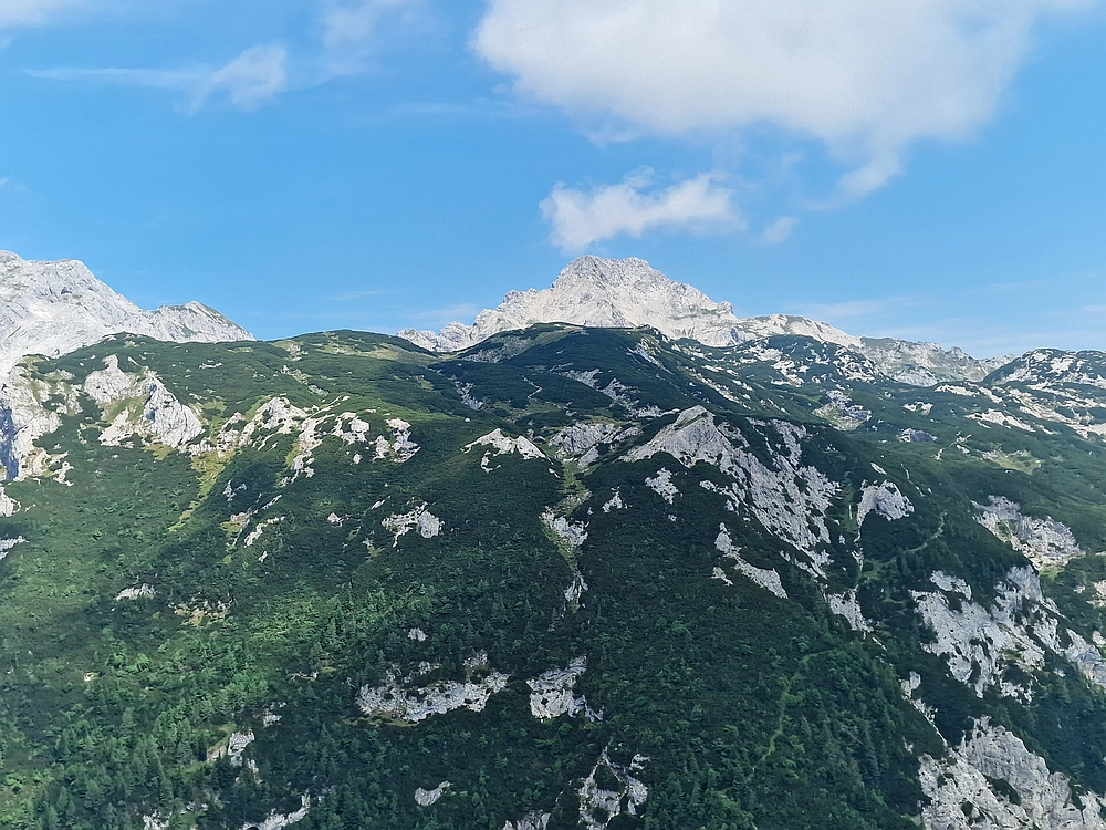 Slika je vidna v Google Chromu.