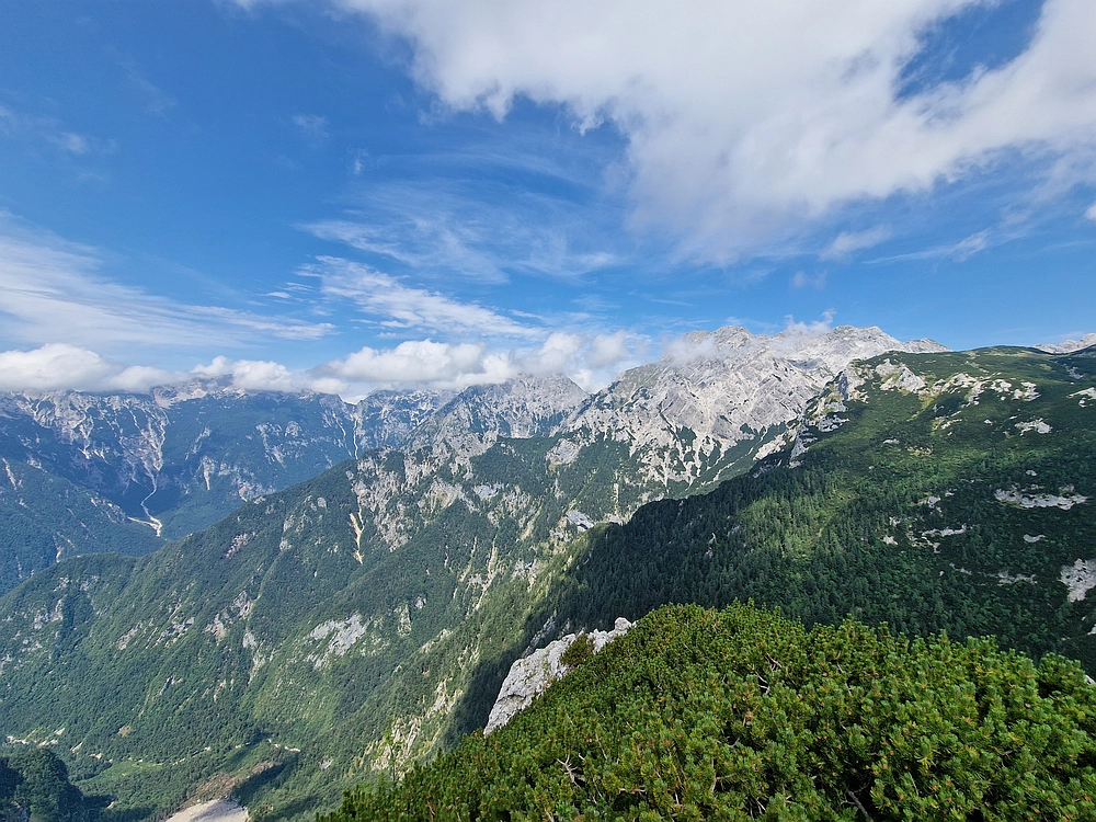 Slika je vidna v Google Chromu.
