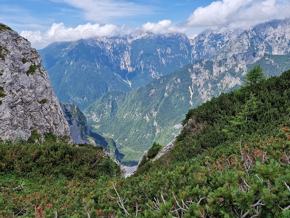 Slika je vidna v Google Chromu.