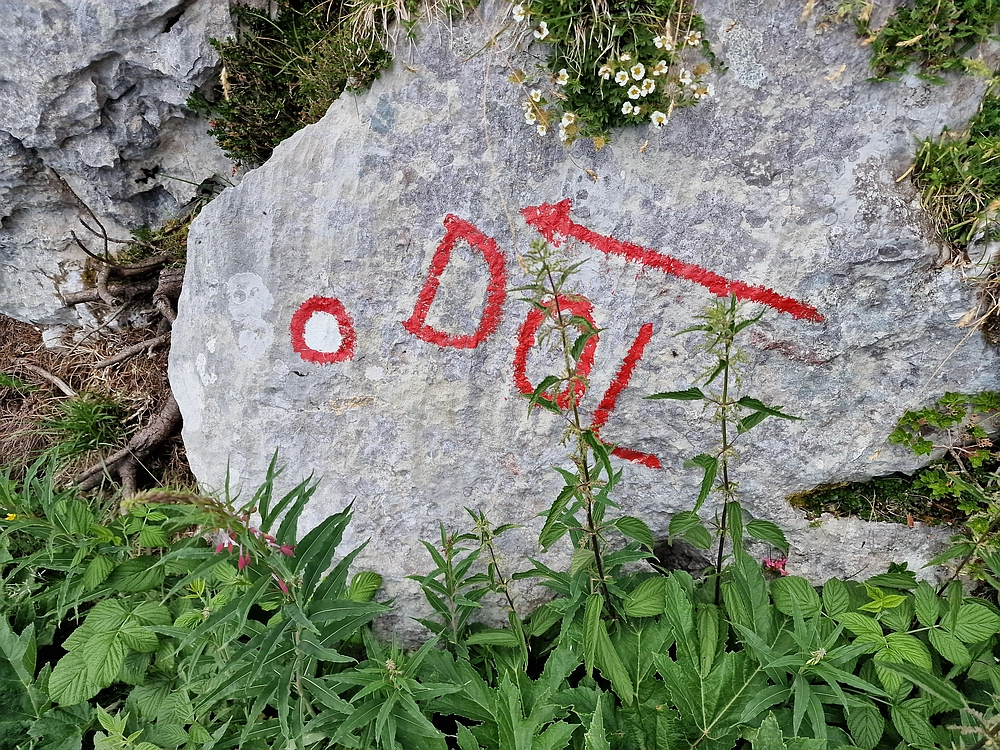 Slika je vidna v Google Chromu.