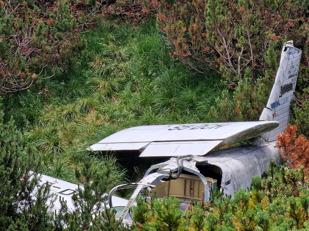 Slika je vidna v Google Chromu.