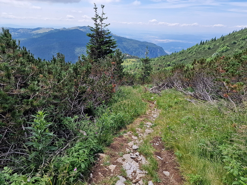 Slika je vidna v Google Chromu.