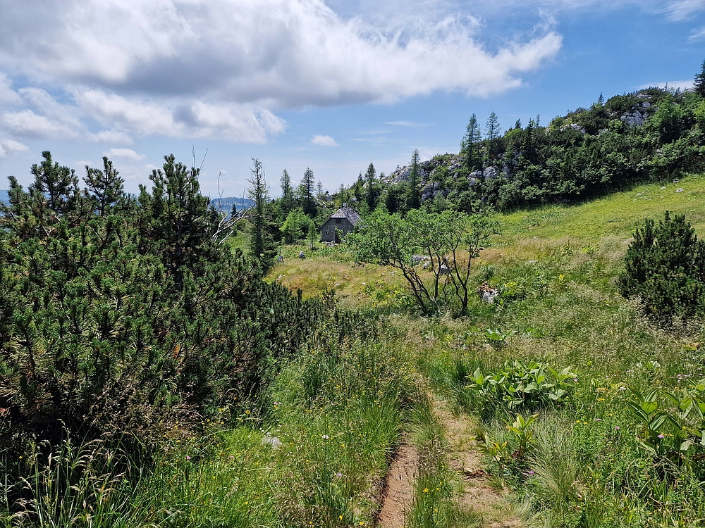 Slika je vidna v Google Chromu.