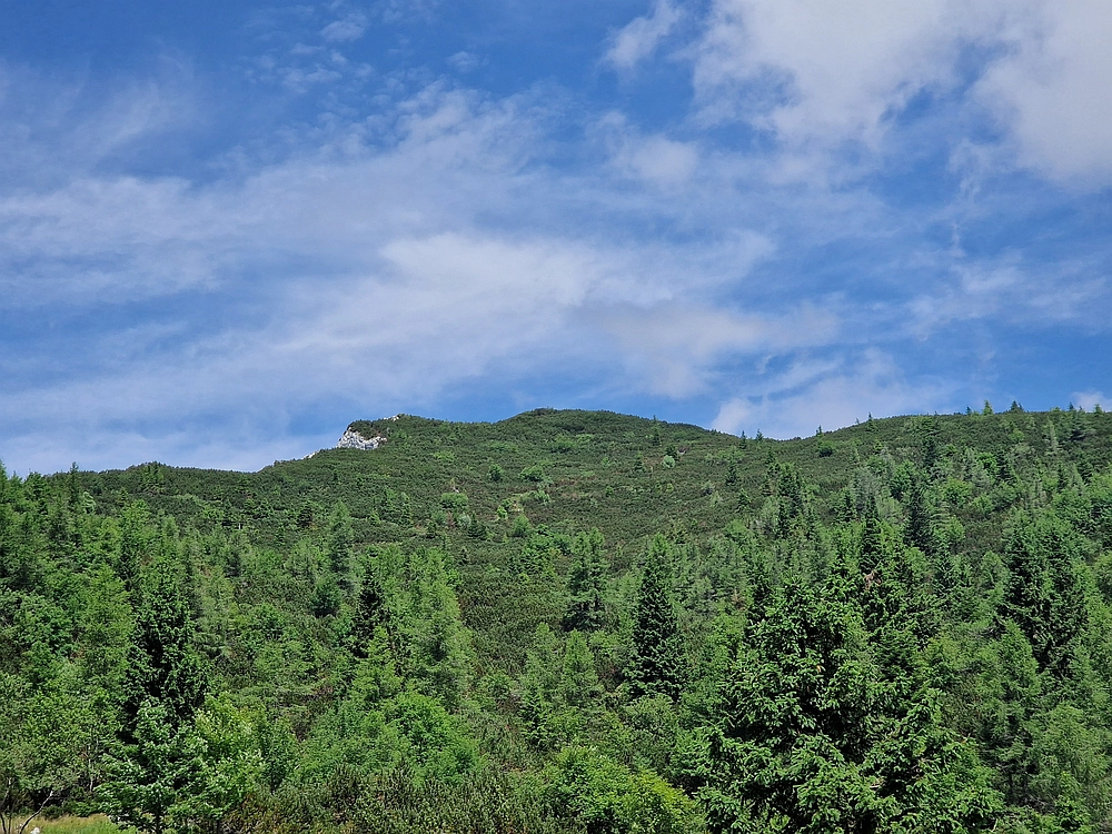 Slika je vidna v Google Chromu.