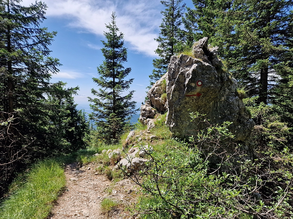 Slika je vidna v Google Chromu.