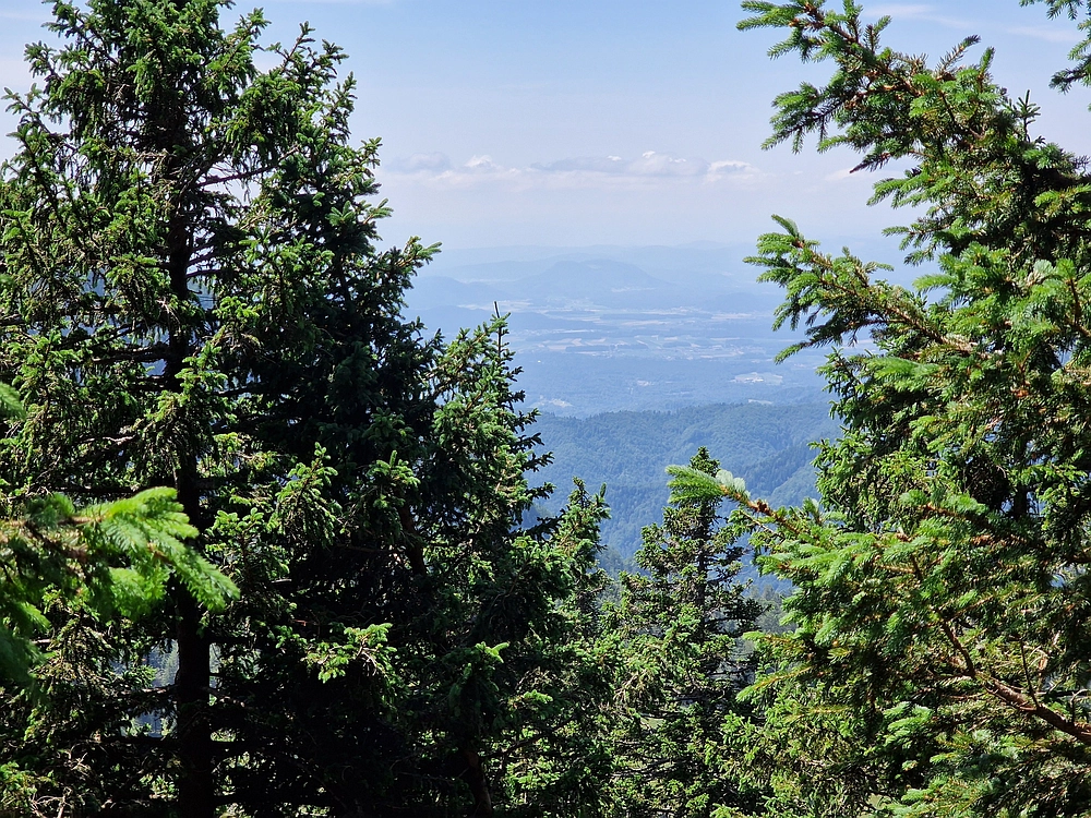 Slika je vidna v Google Chromu.