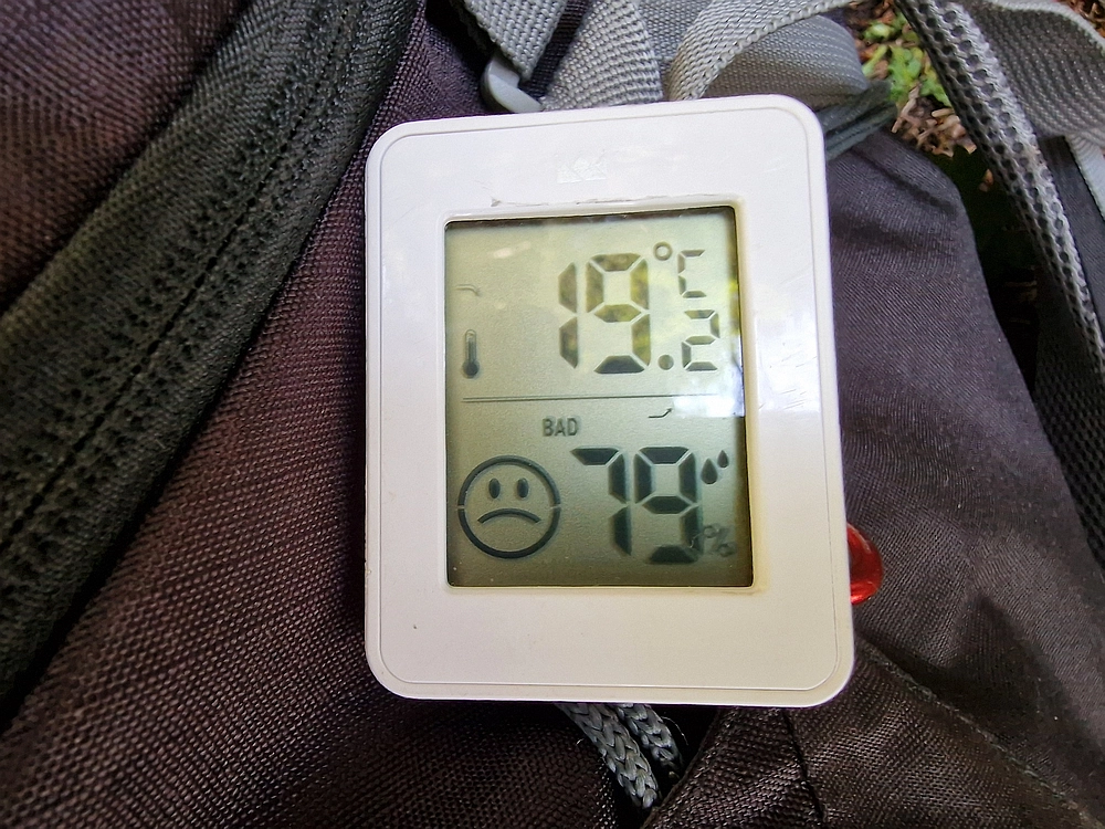 Slika je vidna v Google Chromu.