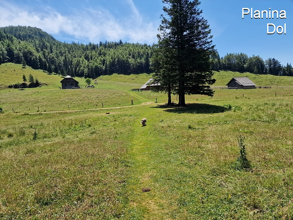 Slika je vidna v Google Chromu.