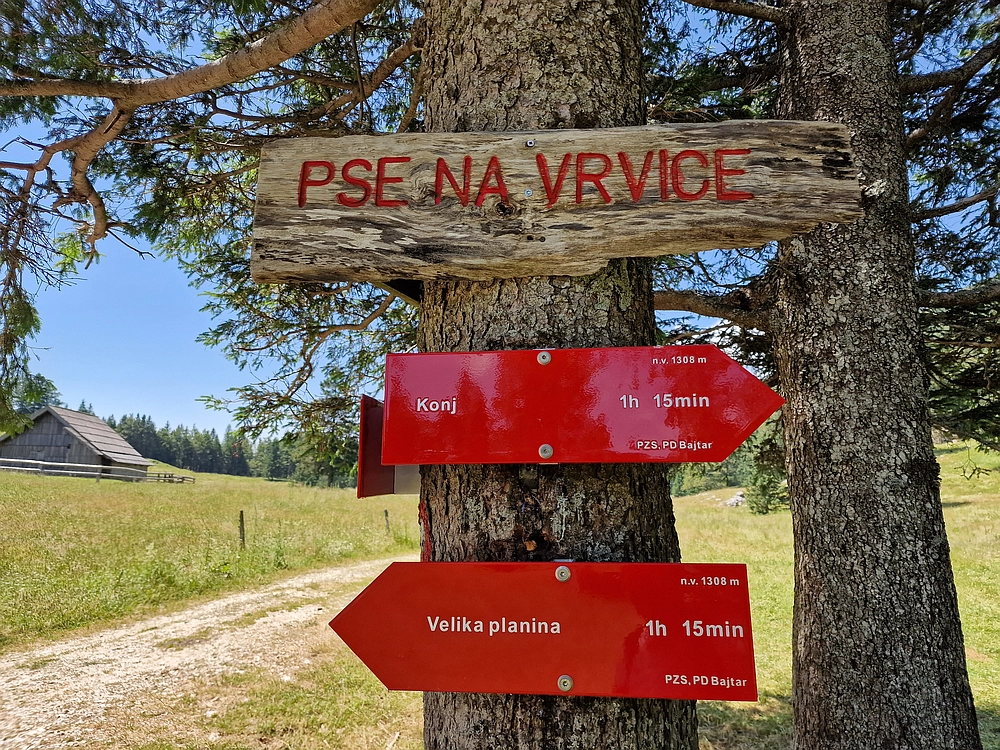 Slika je vidna v Google Chromu.