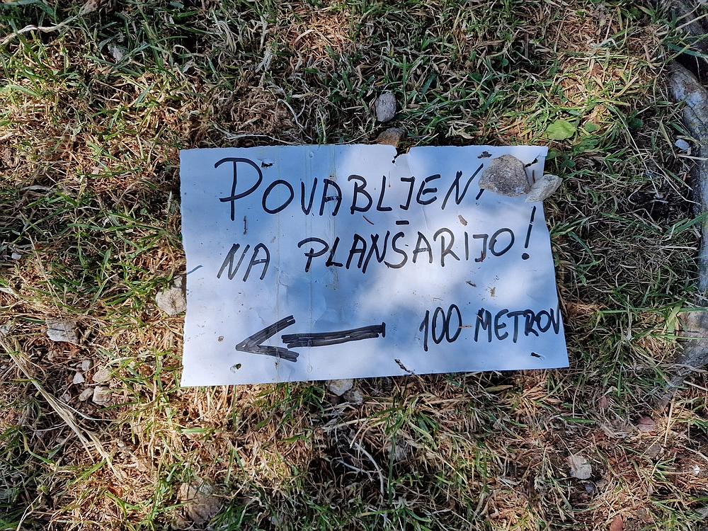 Slika je vidna v Google Chromu.