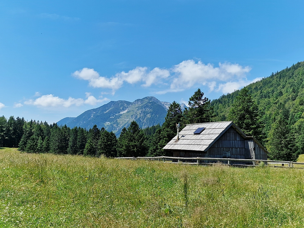 Slika je vidna v Google Chromu.