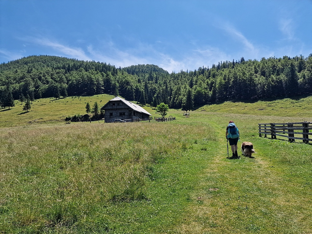 Slika je vidna v Google Chromu.