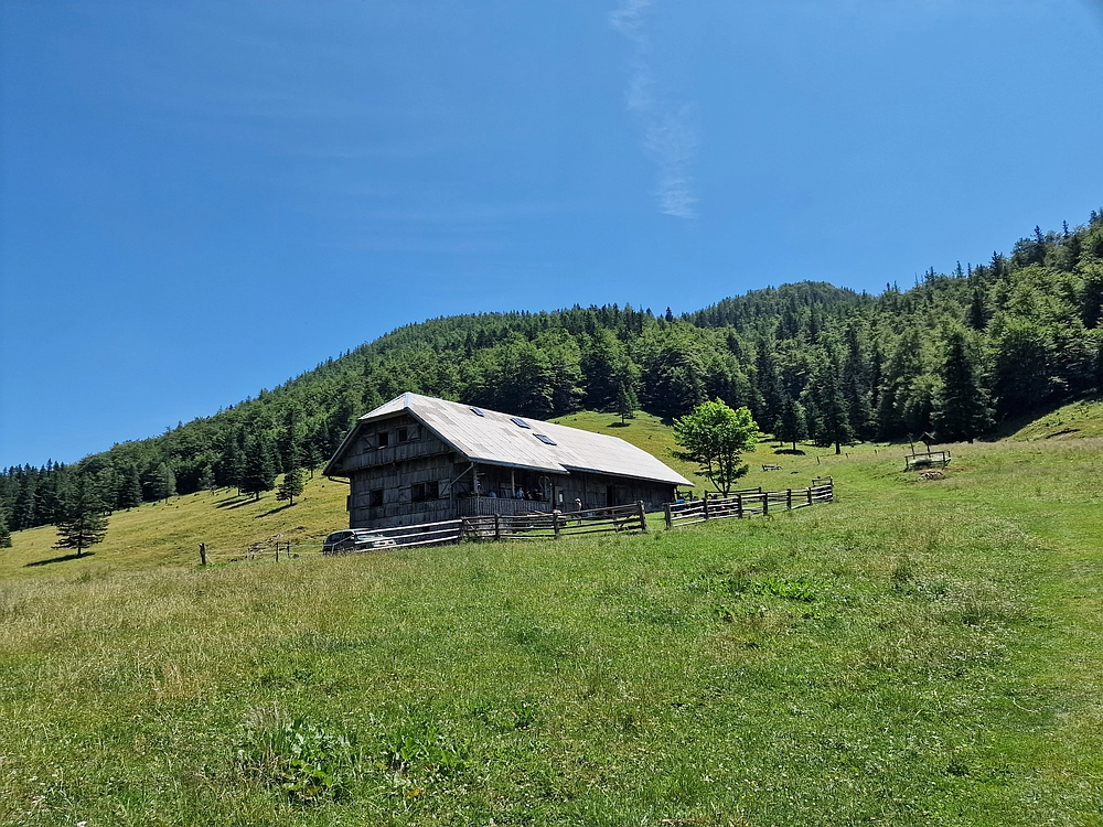 Slika je vidna v Google Chromu.