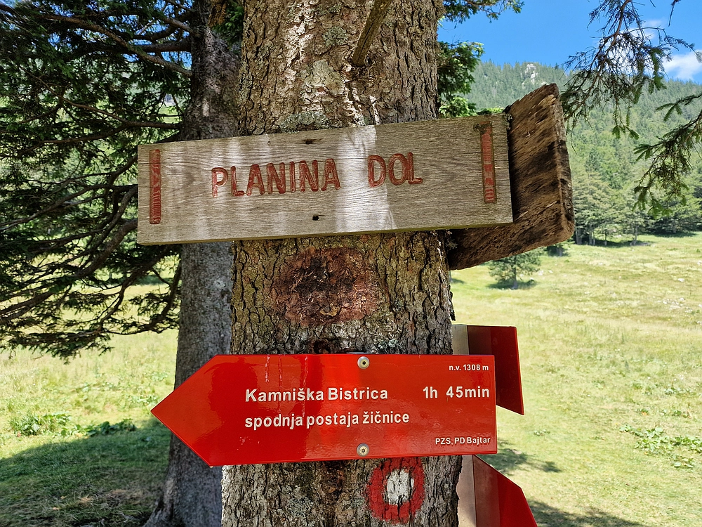 Slika je vidna v Google Chromu.