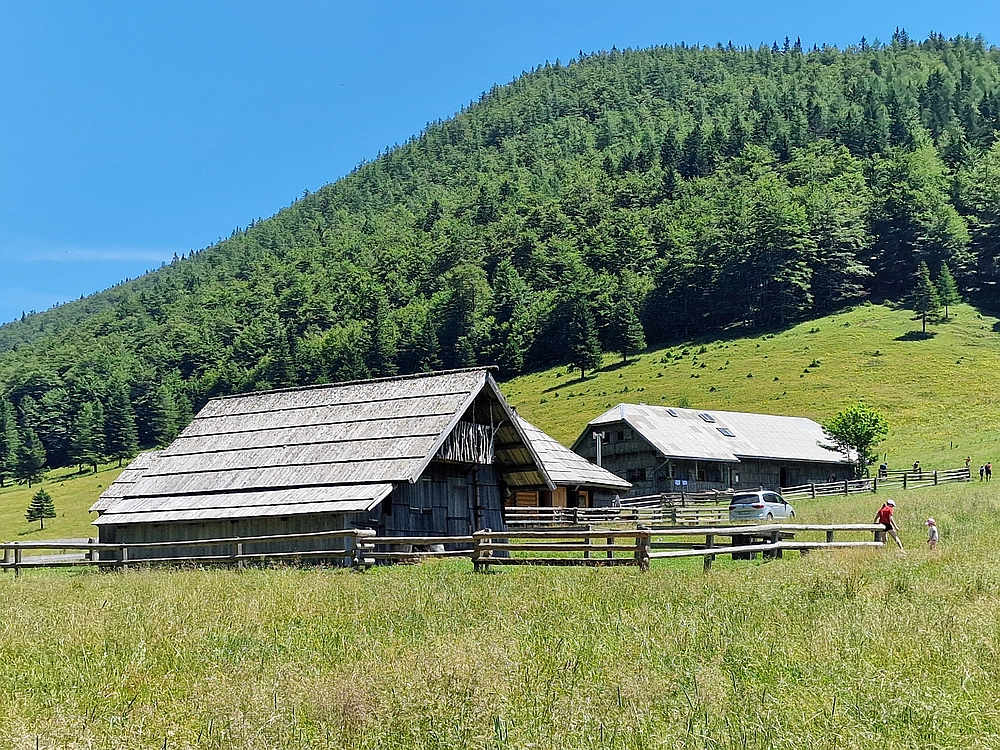 Slika je vidna v Google Chromu.