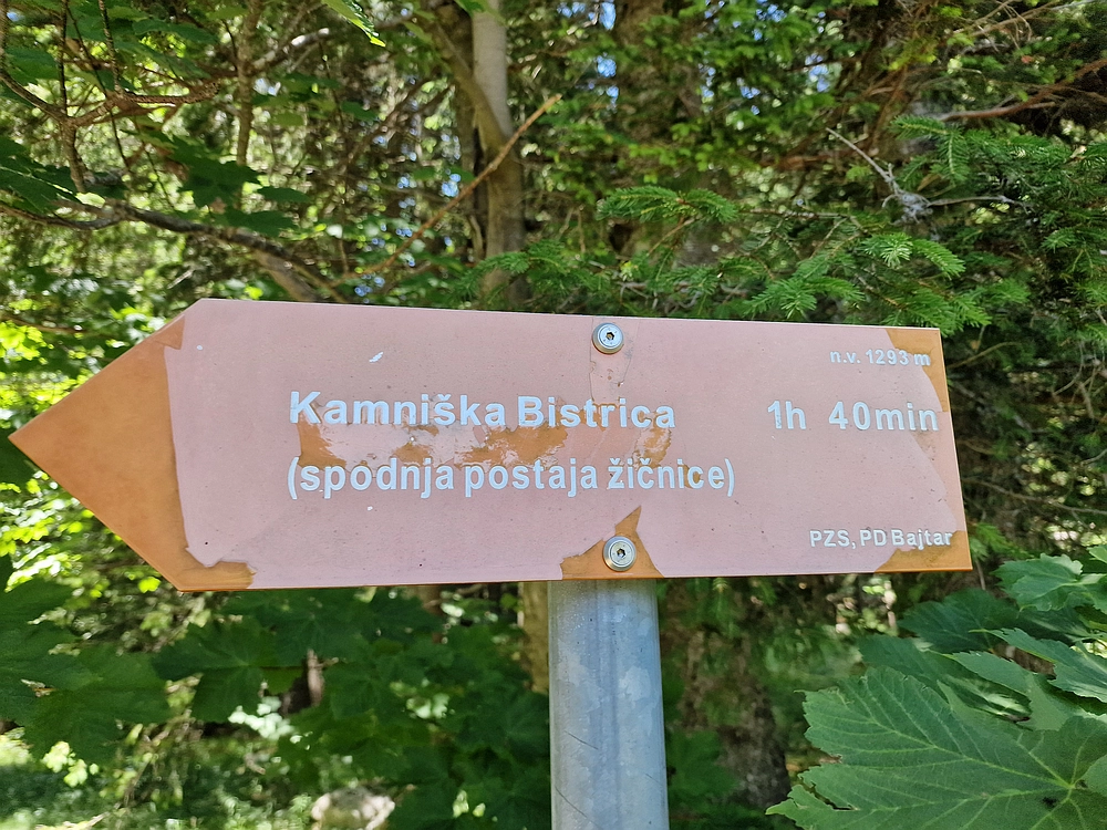 Slika je vidna v Google Chromu.