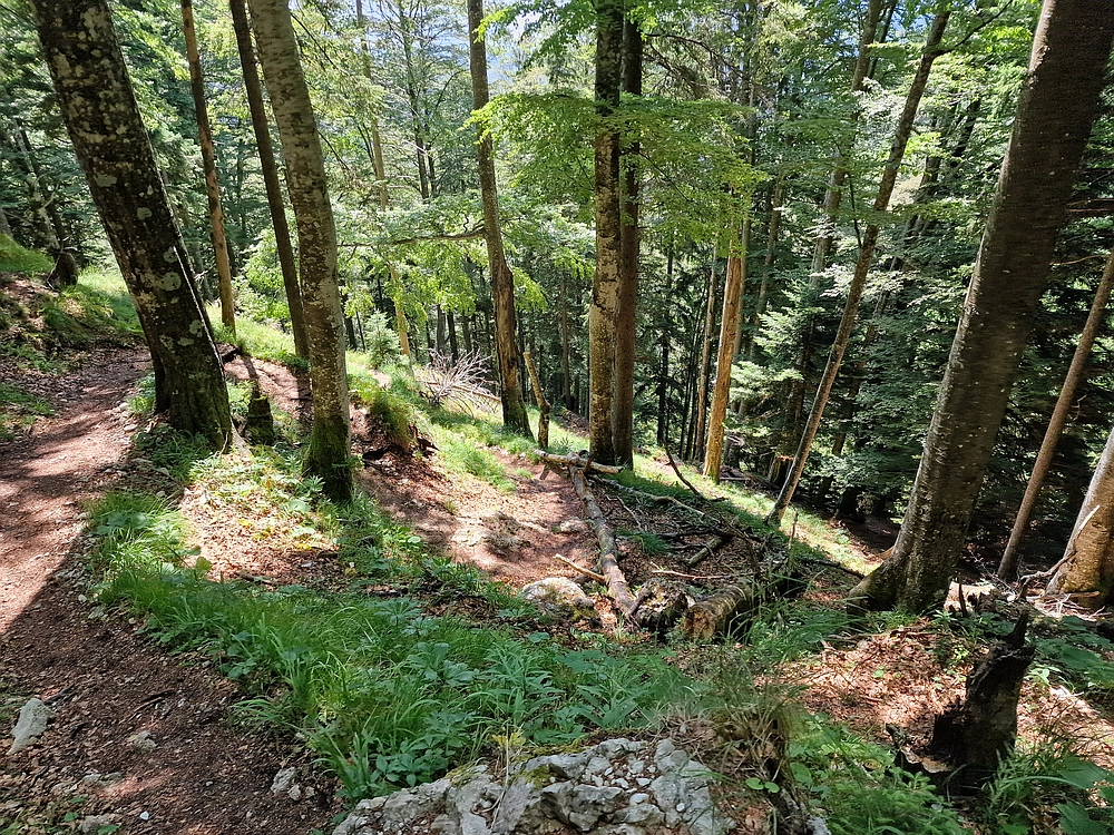 Slika je vidna v Google Chromu.