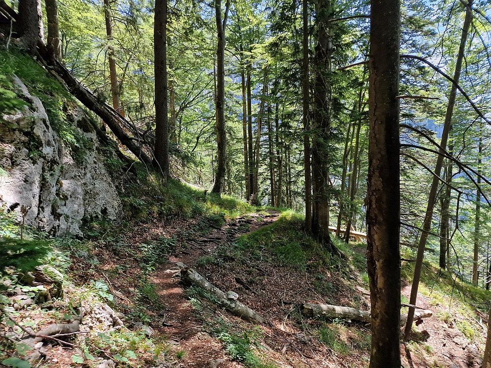 Slika je vidna v Google Chromu.