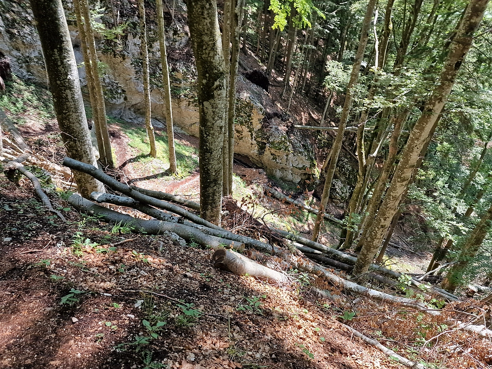 Slika je vidna v Google Chromu.