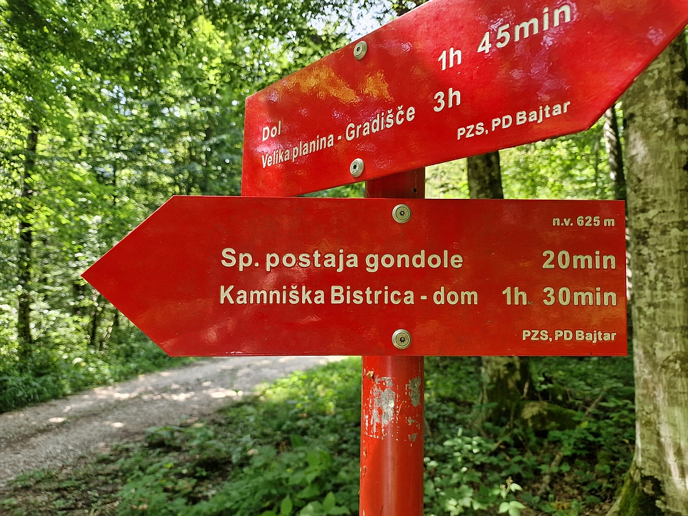 Slika je vidna v Google Chromu.