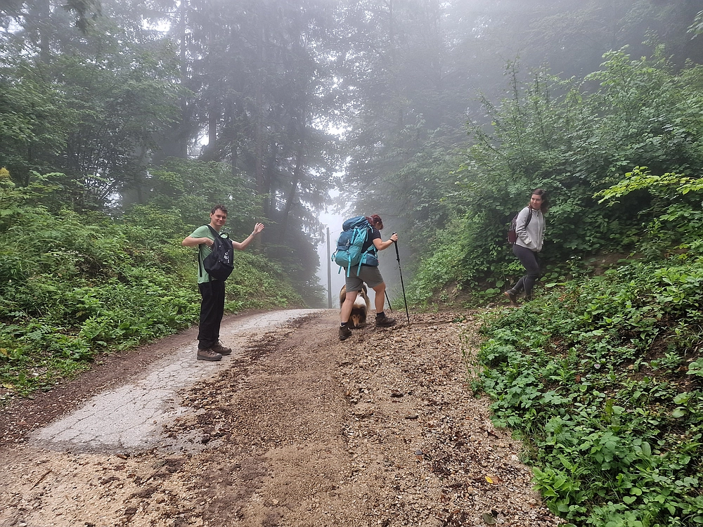 Slika je vidna v Google Chromu.