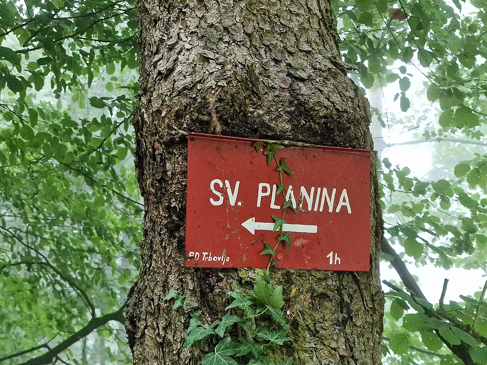 Slika je vidna v Google Chromu.