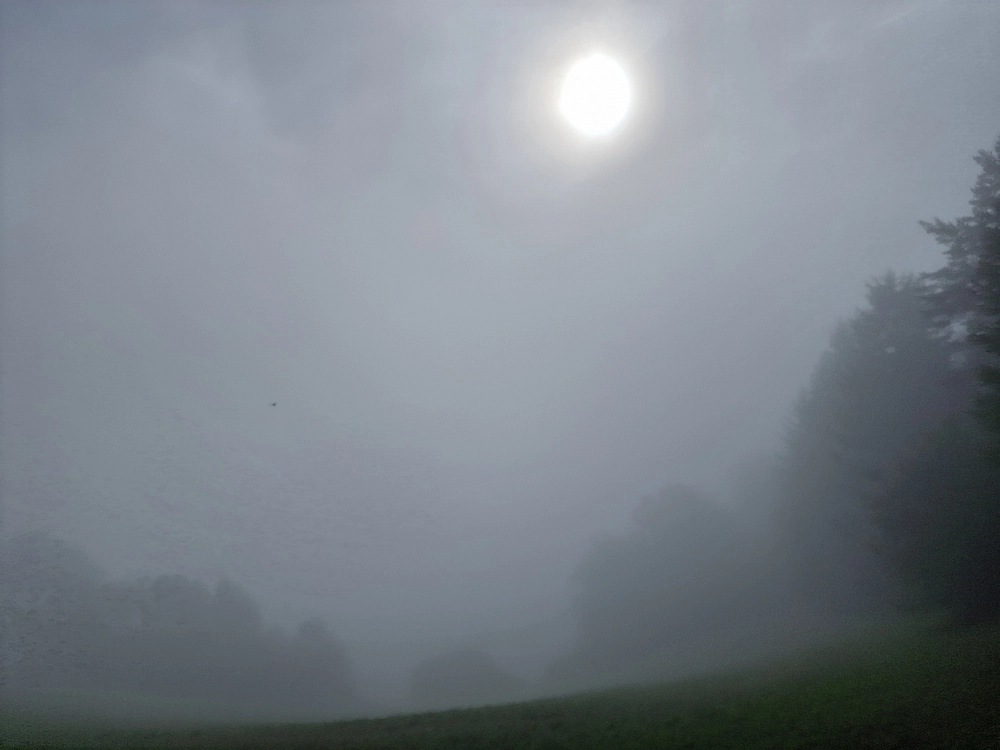 Slika je vidna v Google Chromu.