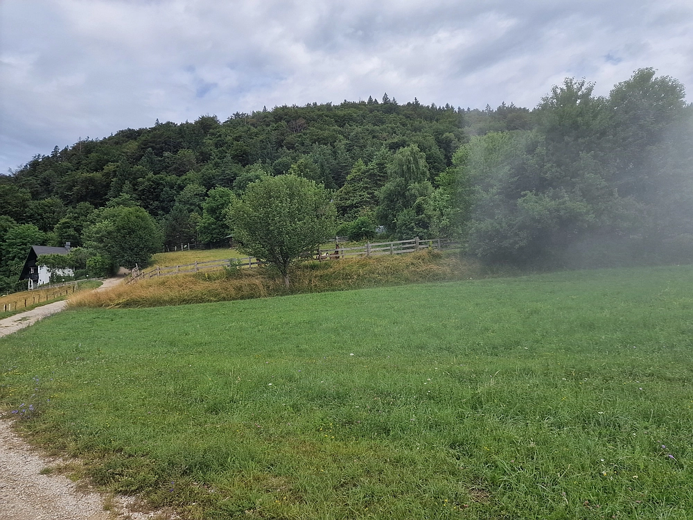 Slika je vidna v Google Chromu.