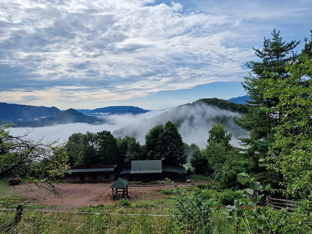 Slika je vidna v Google Chromu.