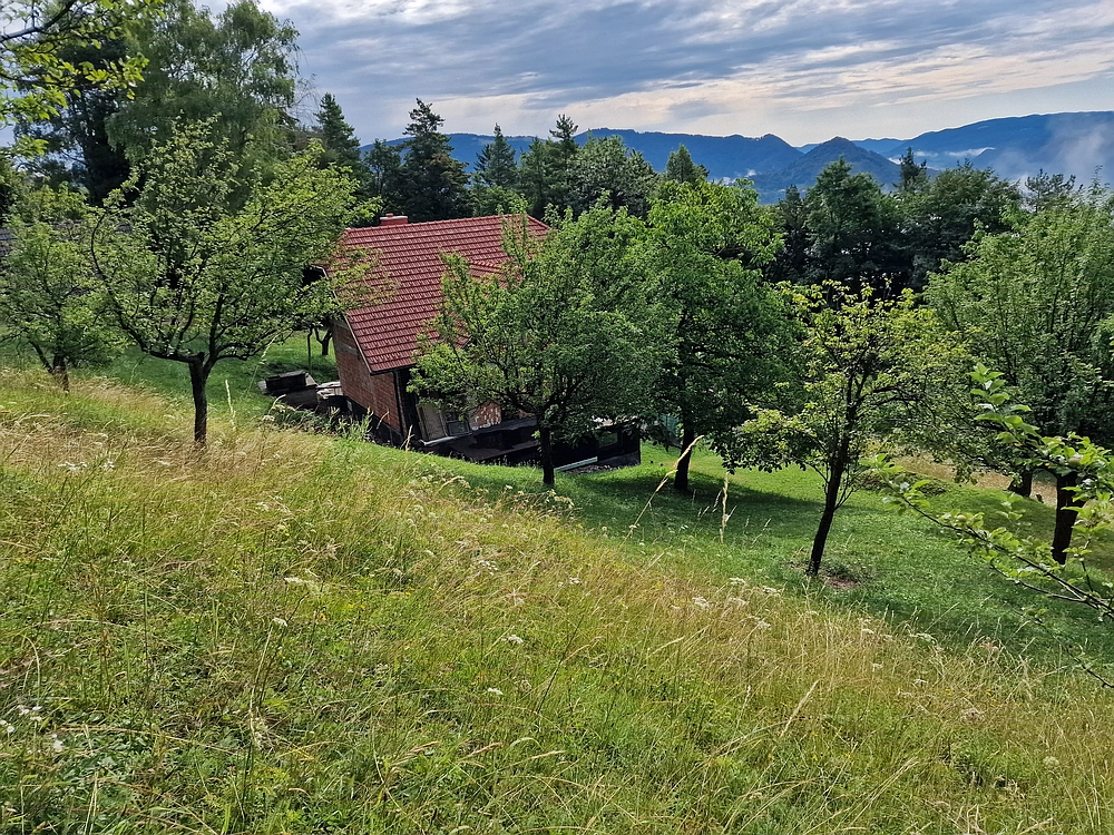 Slika je vidna v Google Chromu.