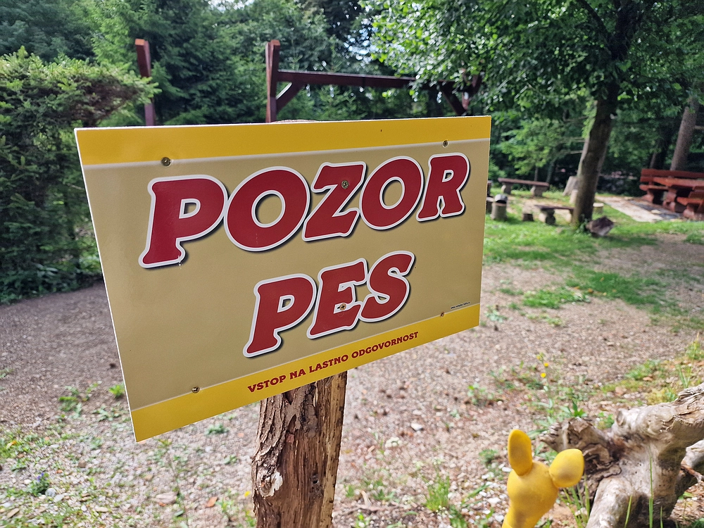 Slika je vidna v Google Chromu.