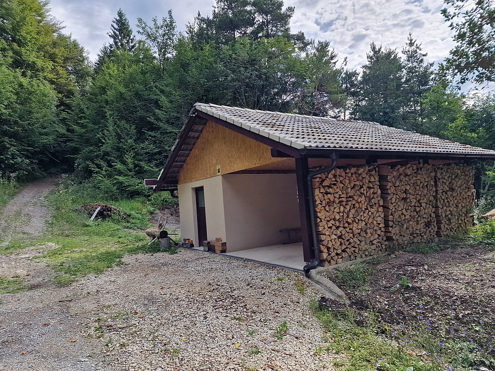 Slika je vidna v Google Chromu.