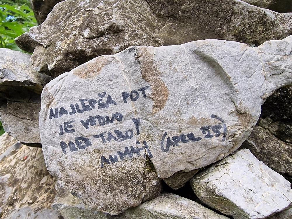 Slika je vidna v Google Chromu.