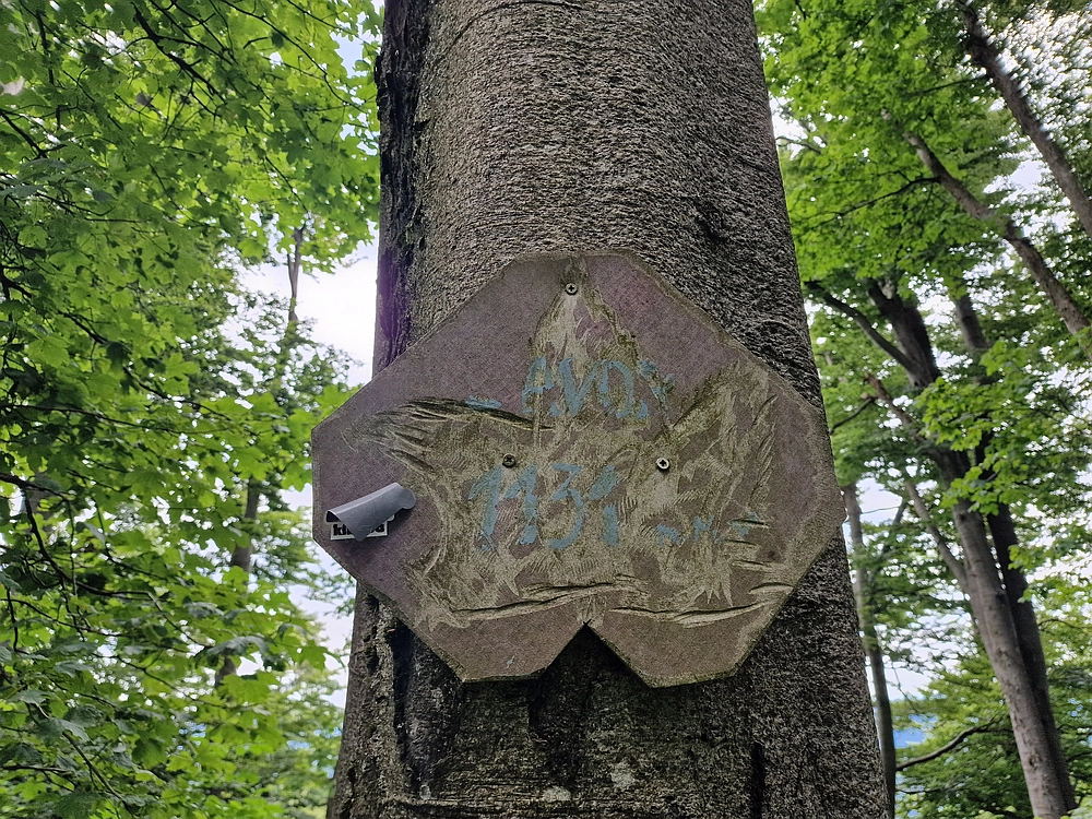 Slika je vidna v Google Chromu.