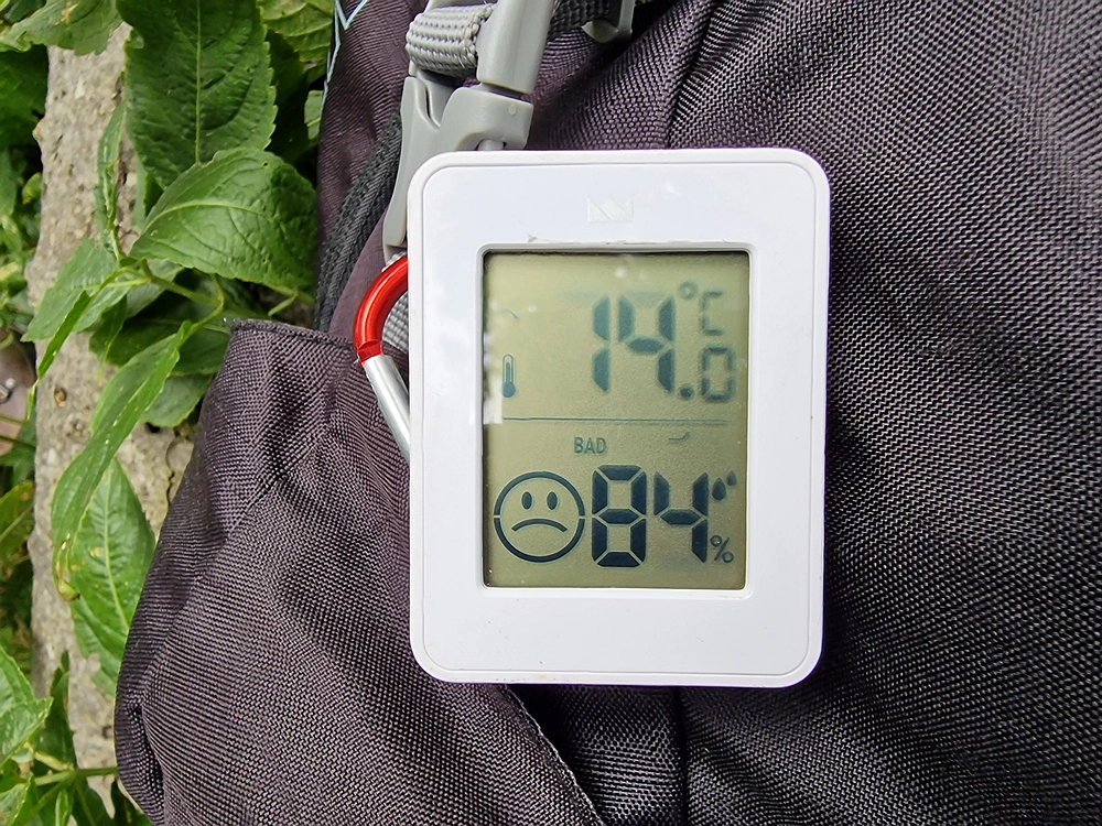 Slika je vidna v Google Chromu.