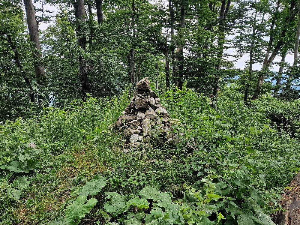 Slika je vidna v Google Chromu.