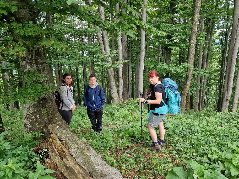 Slika je vidna v Google Chromu.