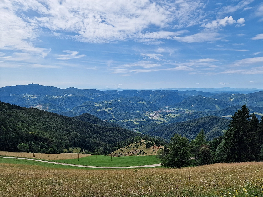 Slika je vidna v Google Chromu.