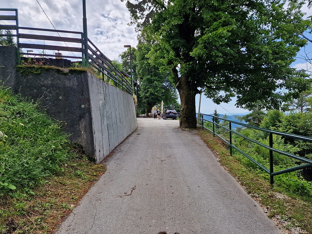 Slika je vidna v Google Chromu.