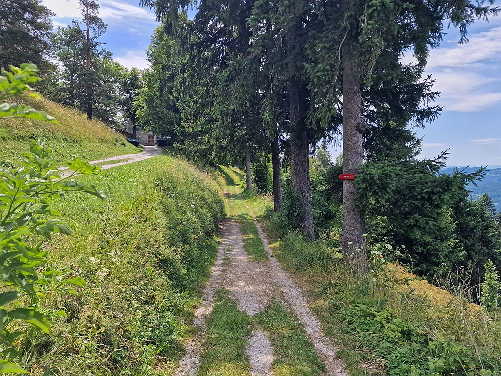 Slika je vidna v Google Chromu.