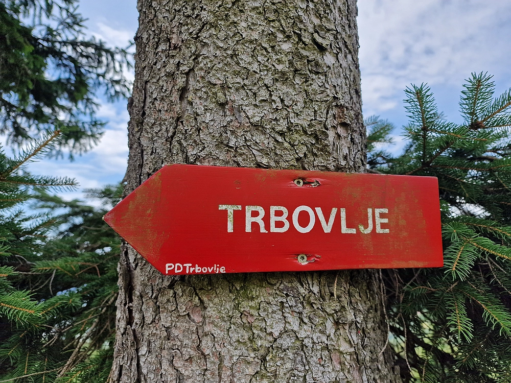 Slika je vidna v Google Chromu.