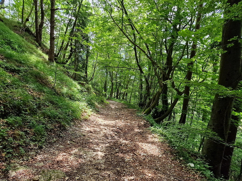 Slika je vidna v Google Chromu.