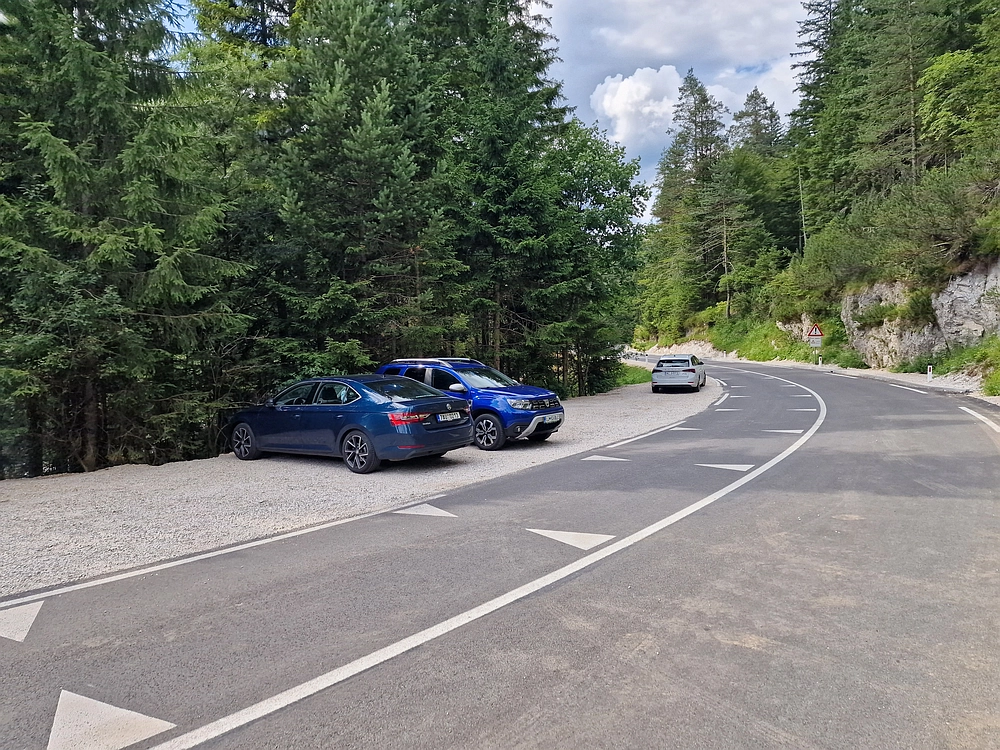 Slika je vidna v Google Chromu.