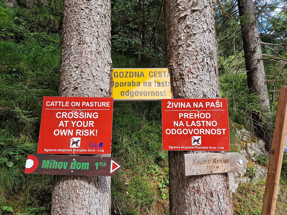 Slika je vidna v Google Chromu.