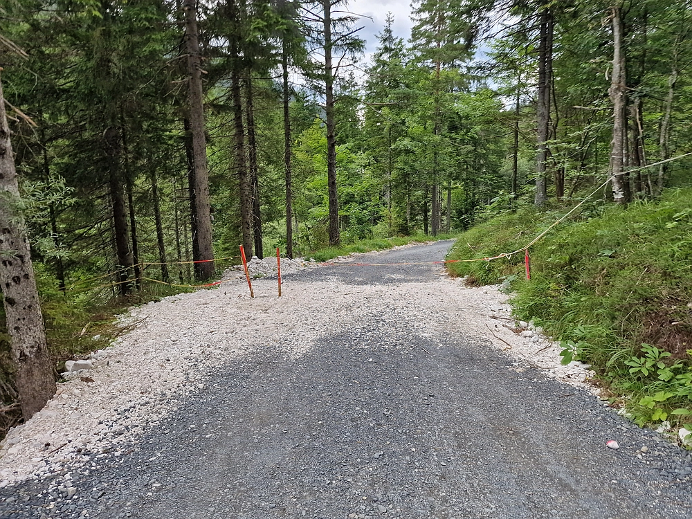 Slika je vidna v Google Chromu.