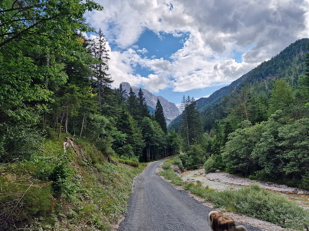 Slika je vidna v Google Chromu.